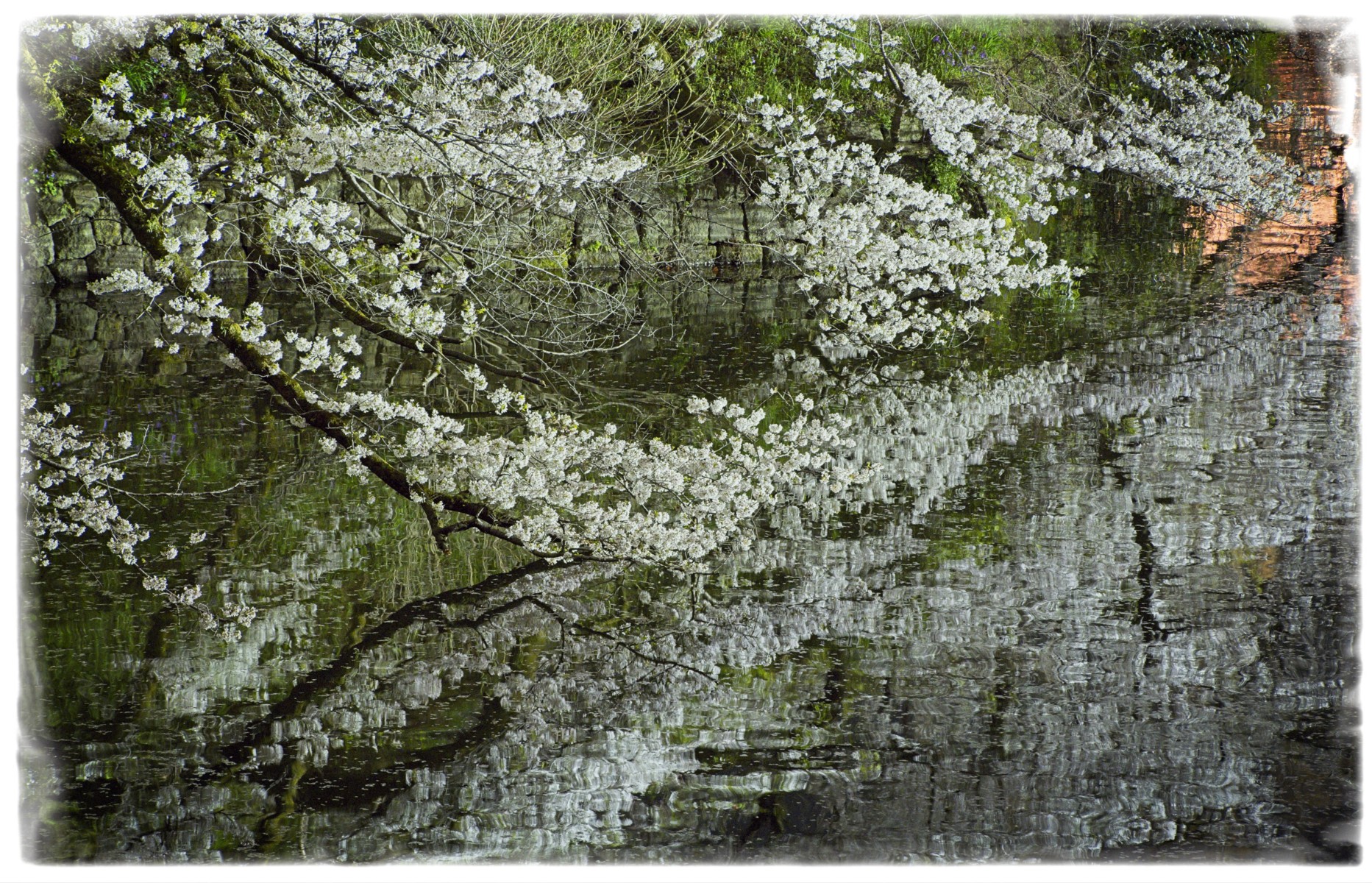 DSCF2610.jpg