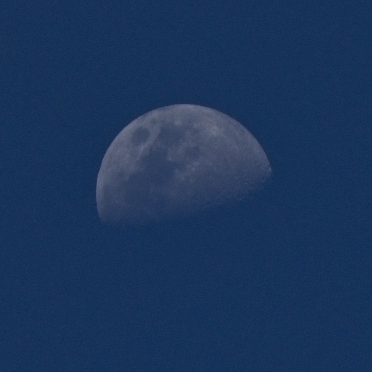 DSCF2694.jpg