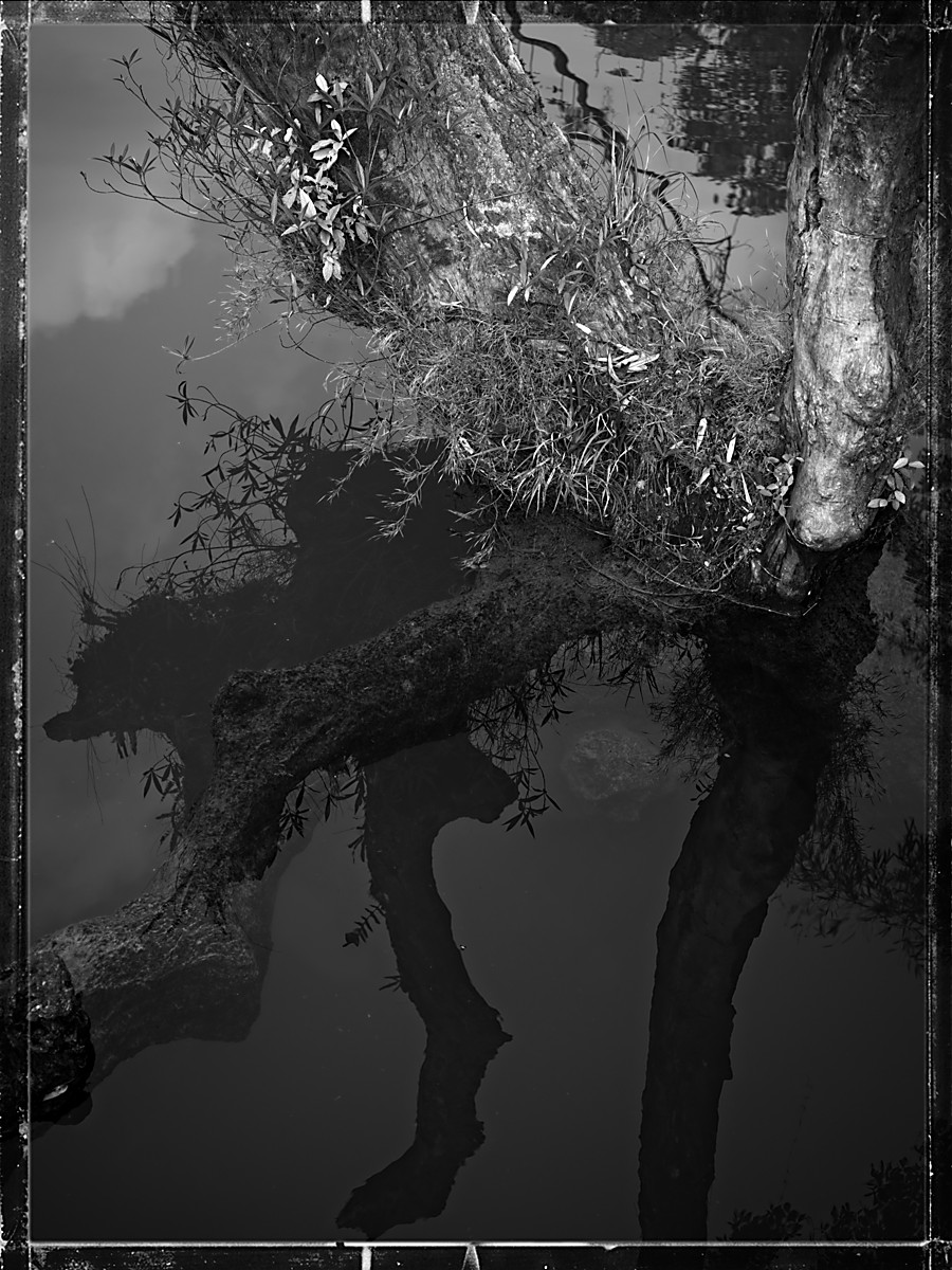 DSCF2894.jpg