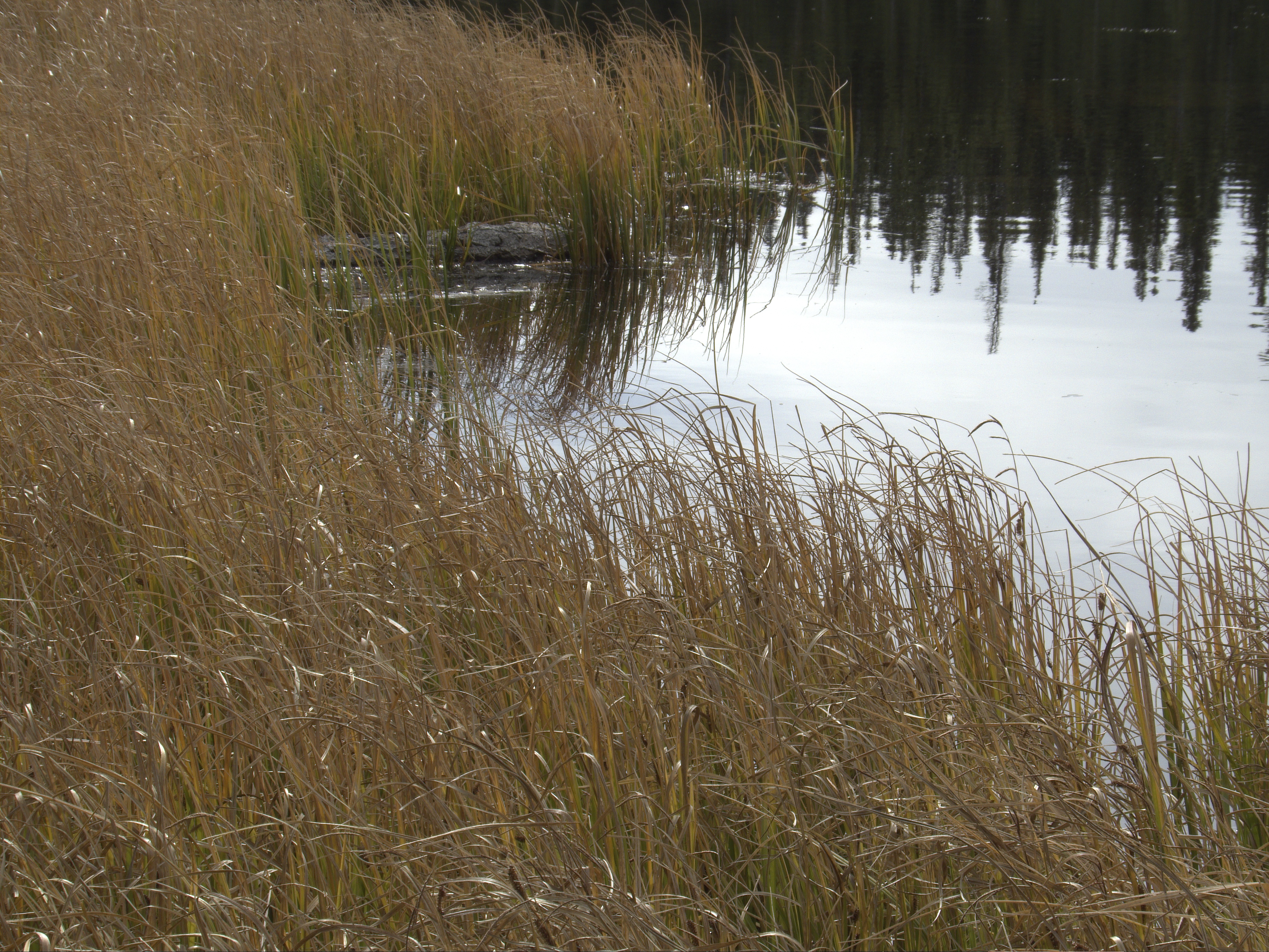 DSCF9049.jpg
