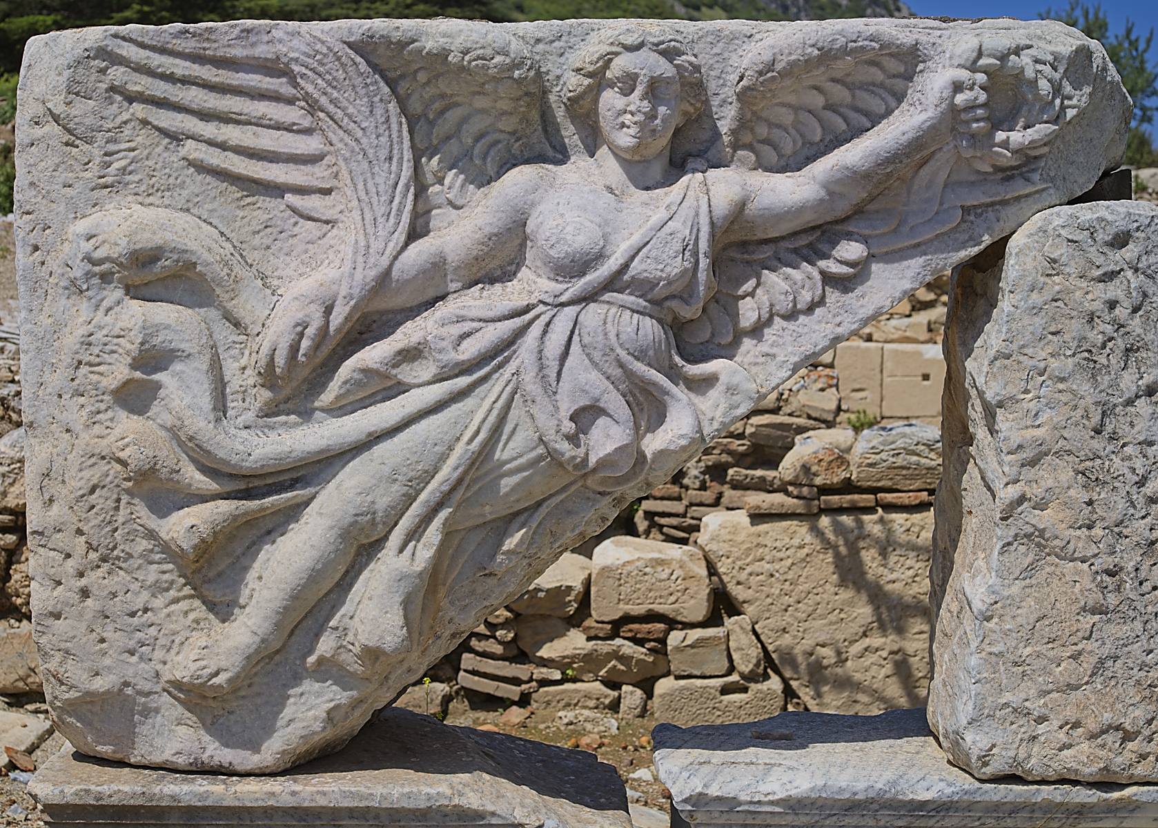 DSCF9572.jpg