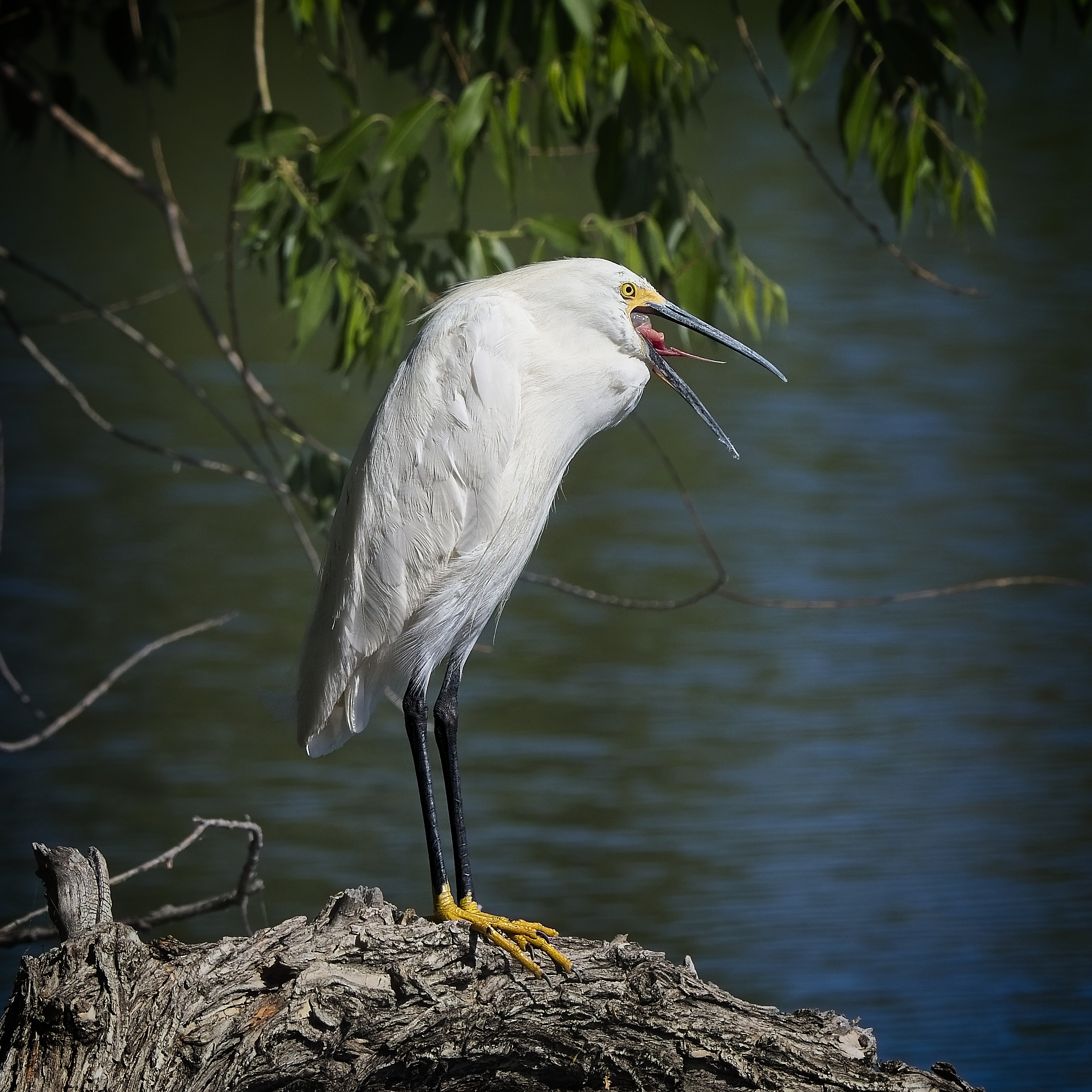 DSC_5021.jpg