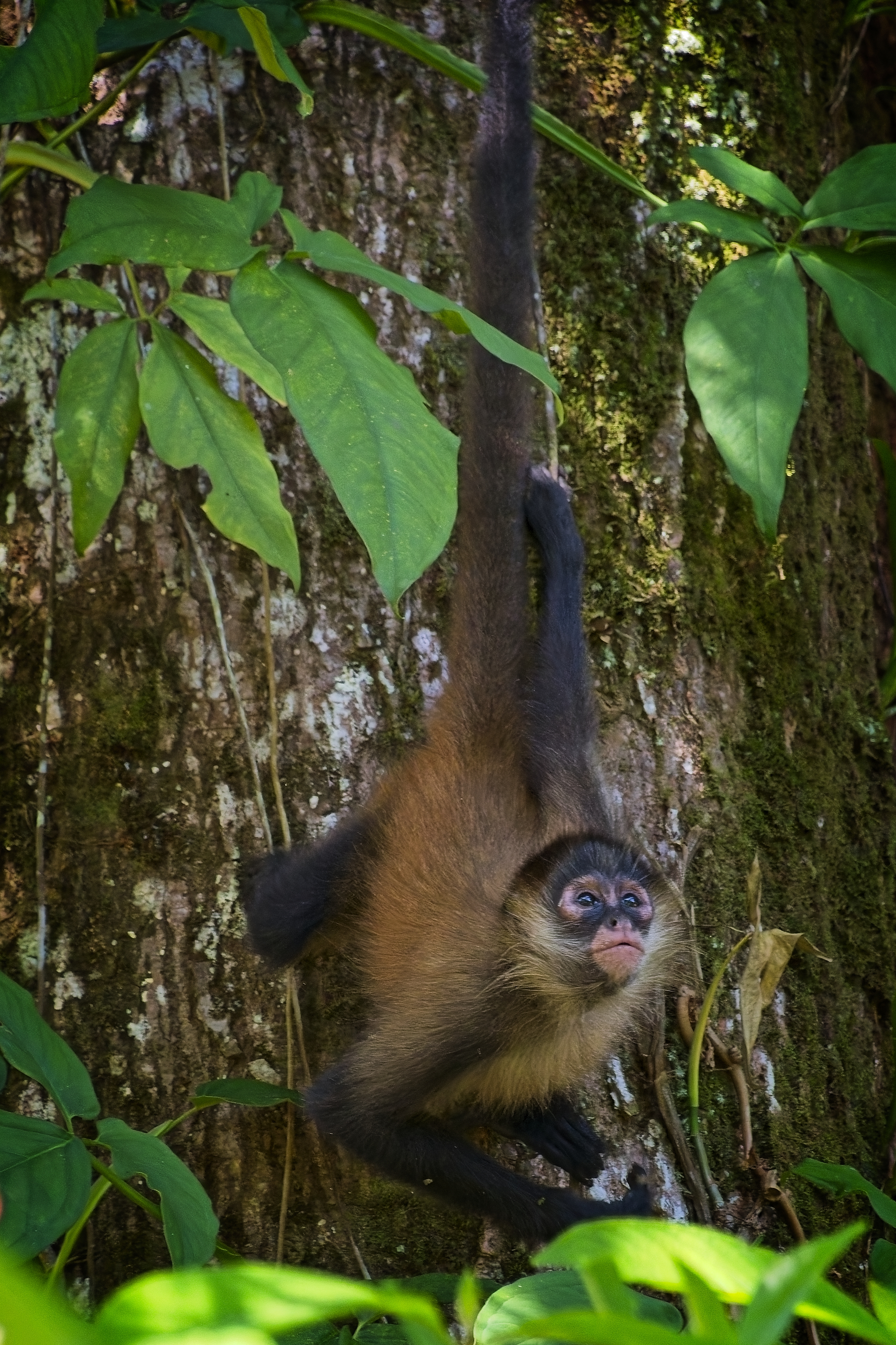 DSC_6025.jpg